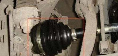 老司機(jī)忠告 這三個(gè)汽車零件越懶保養(yǎng)越好，過度呵護(hù)反成傷車元兇